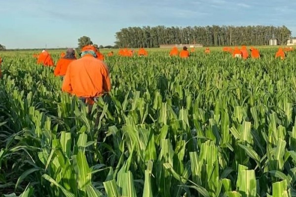 Producción
